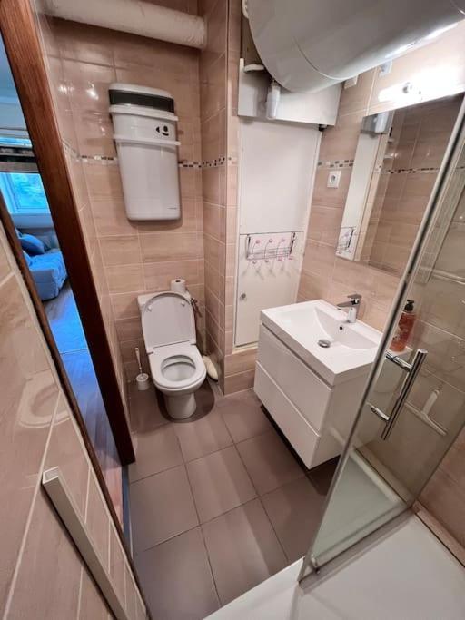 Studio Au Pied Des Pistes Montferrier Экстерьер фото