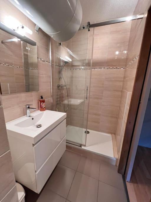 Studio Au Pied Des Pistes Montferrier Экстерьер фото